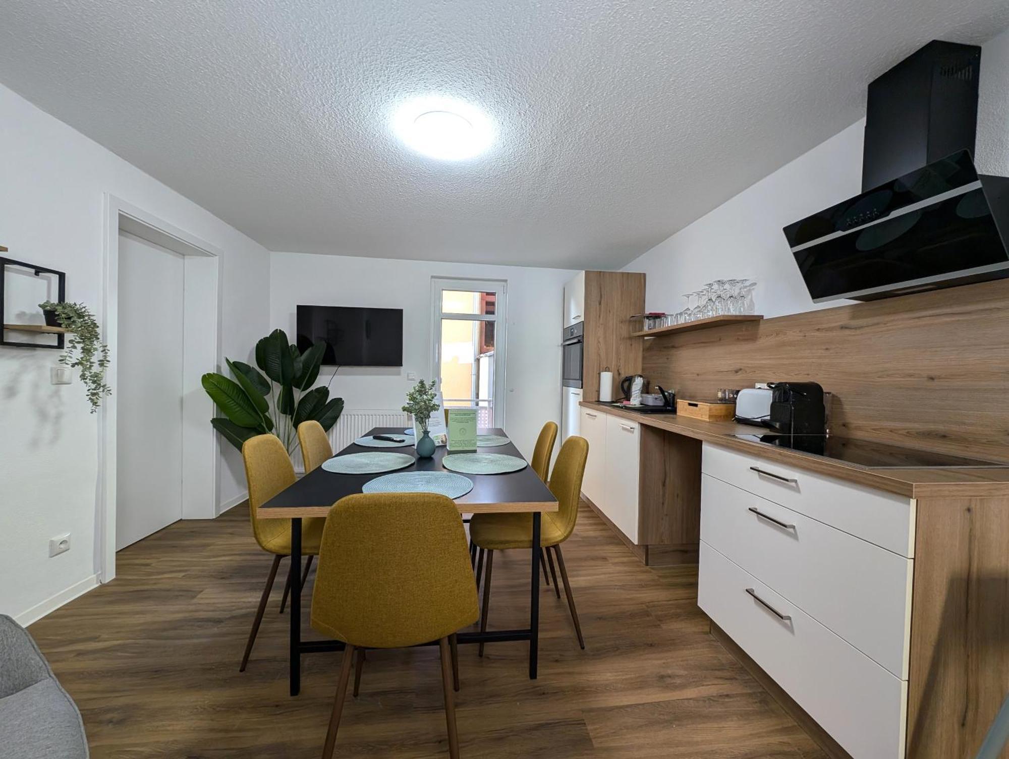Bohnapartments - Topfmarkt Xxl - Neu In Zentrumslage, Vollausstattung, Wlan, Parkplaetze Apartment Ilmenau